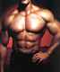muscle builder